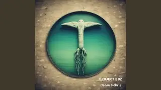 Ocean Debris