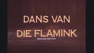 Dans van die Flamink | 1974 | Afrikaanse Avontuurdrama | Full Movie