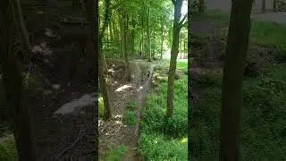 WTF! 7yo Leo Sends It In Friston Forest #downhill #mtb #mountainbike #mtblife #bikelife #gopro