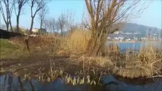 Bebop Parrot sulle rive del Lago di Montorfano 