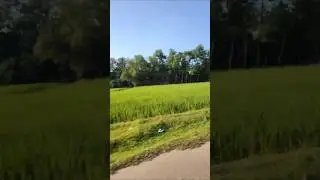 &ldquo;The village&rsquo;s silence teaches the true meaning of serenity.&rdquo; #bangladesh #nature #shortvideo #views