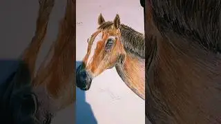 Drawing a realistic horse! #drawing #realistic #horse #shorts