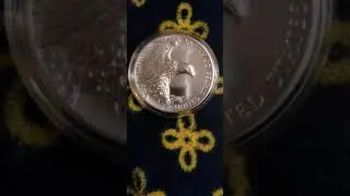 2019 American Liberty High Relief Silver Medal