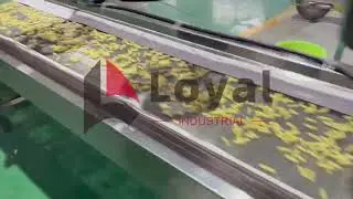 Real export case 👉 LOYAL macaroni machine tested for our Mali customer.+86-13176674591#pastamachine