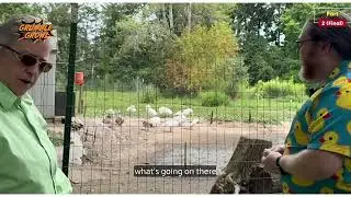 Saving the Cotton Patch Geese | Part 2 with John Crump of Flocking Crazy Farm