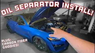 HOW TO INSTALL: FORD PERFORMANCE OIL SEPARATOR | 2020 SHELBY MUSTANG GT500