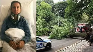 Mom of 3 hurt in Central Park tree fall speaking out