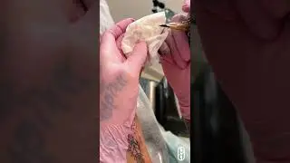 ✅Dica para fazer tra&ccedil;os Bold ✅#dicas #tattoo #dicastattoo #tattoo #tatuagem #tattootutorial