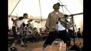 the Dingees live @ TomFest 1998