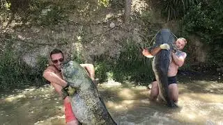 ROKACINA :)