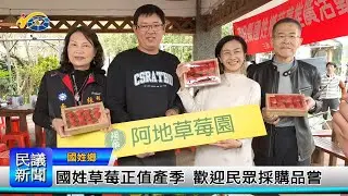 1140303 南投縣議會 民議新聞 國姓草莓正值產季 歡迎民眾採購品嘗 (縣議員 陳宜君、林芳伃)