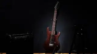 Don Omar - Los Bandoleros (guitar solo)
