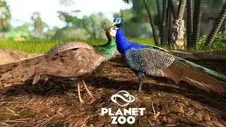 AMAZING JUNGLE NO FENCES - Welcome to my jungle - Planet Zoo