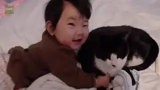 Funny cute animals vidoos of Dogs cats kittens and pet babies for playing in 2021