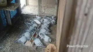 Ai disponibles
