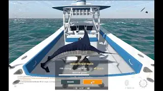 Fishing Planet Farming Striped Marlin in Koiji No Ri