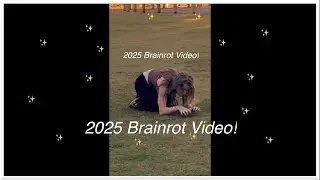 2025 Brainrot Video I Jan - Dec