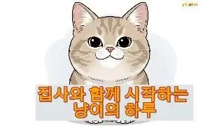 집사와 함께 시작하는 냥이의 하루                                                        #이야기 #이야기장인 #썰 #cat #집사