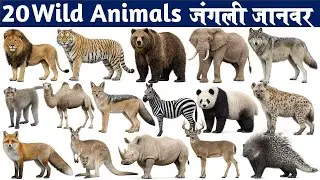 जंगली जानवरों के नाम | 20 Wild Animals for Kids | Learn Animal Names in English with Sounds & Fun