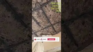 how to repair | corroded reinforcement rod building repairs in chennai | #waterproofing