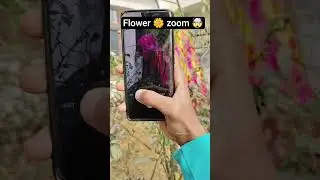 Mobile photography / Flower photography/Nutune photography #abhayclick