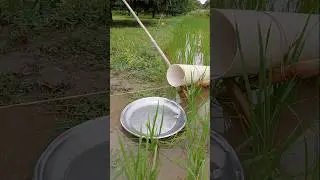 Amazing pipe fishing with bill part 02 #nativefish