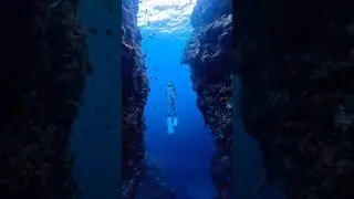 Napaling Crack, Bohol. 🧜&zwj;♀️ #bohol #divephilippines #freediving #molchanovs