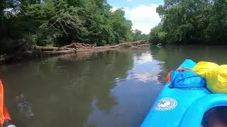 Riverfloat  1  2021