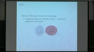 Prof. Peter Bickel | &ldquo;Network modeling of topological domains using Hi-C data&rdquo;