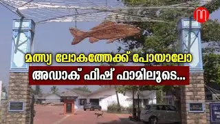 മത്സ്യ ലോകത്തേക്ക് പോയാലോ, അഡാക് ഫിഷ് ഫാമിലൂടെ|Adak Fish Farm Poyya| METRO POST