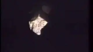 Micro Museum - Metamorphosis