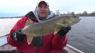 906 На природе - Выделка шкуры койота (часть 2). Ранний нерест судаков.