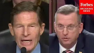 'I Want The Numbers': Richard Blumenthal Grills VA Collins On Accounting For $6 Billion In Funding