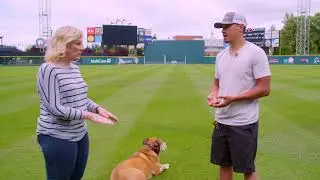 Washington turfgrass at Cheney Stadium