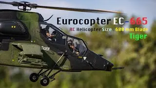 Close Up Detail and Fly The Roban EC665 Tiger 600 Option