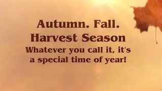 Autumn/Fall 2020 Las Vegas Weddings