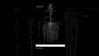 From your roots to new heights | SeedBin + Hotovo