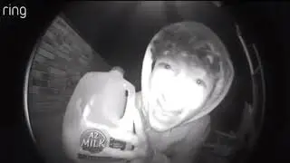 Es hora de beber, dormir, comer x2, oler, robar, correr y vivir (Ringdoorbell meme actualizado x2)