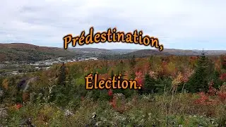 La Bible. * Pr&eacute;destination, &Eacute;lection.