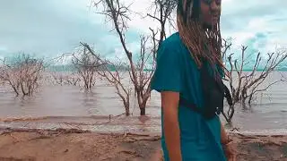 Ivan Will- ANTIDOTE (Lyrics Visualiser)