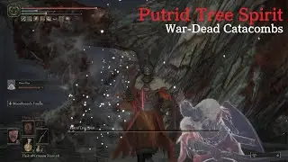 Putrid Tree Spirit (War-Dead Catacombs) vs. Mimic & Bloodhound's Fang | Elden Ring
