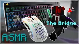 Keyboard + Mouse Sounds ASMR | The Bridge (Hypixel)