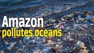Amazon created 599 million pounds of plastic packaging waste in 2020: Oceana report