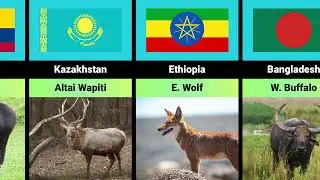 National Animal Symbols of Countries