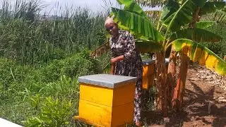 African village life /the traditional evening routine  for a house wife in Rwanda/fecthing water ...