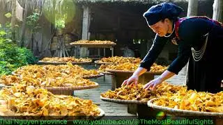 From Farm to Table  Thai Nguyen's Unique Dishes@TheMostBeautifulSights