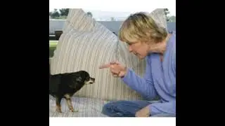 Animal Communication with #1 Pet Psychic Karen Anderson