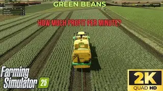 Green Bean Profit Test: 528.66 € Earning Per Minute! | FS25