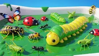 Bugs for Kids: Learn Names with Real and Toy Bugs | Slime Preschool Learning Fun