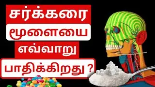 How Does Sugar Affect The Brain | EPIC LIFE || TIME FOR GREATNESS |